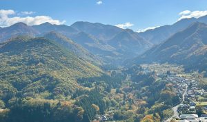 DE286954-73D9-4D30-8CB0-DAAAE5455787