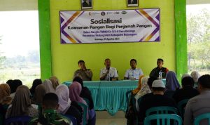 IMG-20260806-WA0034